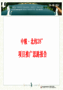 中粮长沙北纬28°项目推广思路报告42页-XXXX年