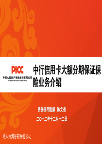 中行大额分期保证险项目