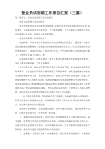 营业员试用期工作报告汇报（三篇）