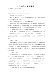 行业协会（述职报告）