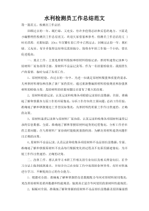 水利检测员工作总结范文