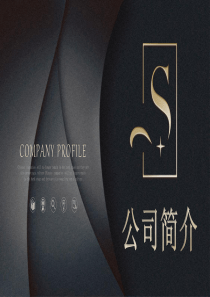 高端质感公司简介PPT模板