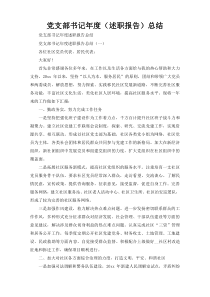 党支部书记年度（述职报告）总结