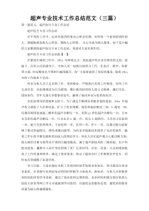 超声专业技术工作总结范文（三篇）