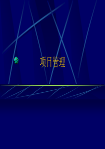 什么是成功的项目管理