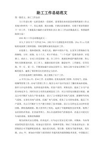 助工工作总结范文