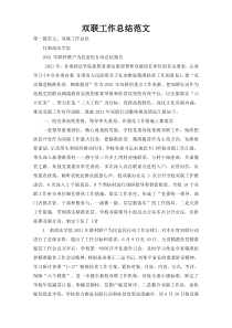 双联工作总结范文