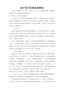 会计实习自我总结报告_3