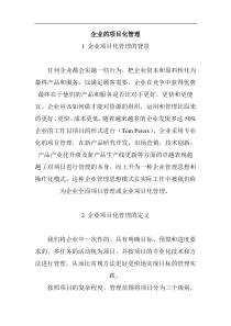 企业的项目化管理(1)