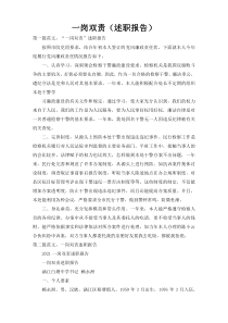 一岗双责（述职报告）