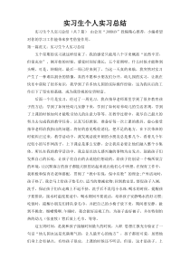 实习生个人实习总结_1