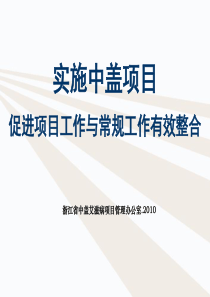 促进项目工作与常规工作有效整合ppt-PowerPoin