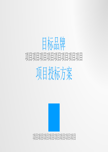 创意蓝色商务汇报总结PPT模板