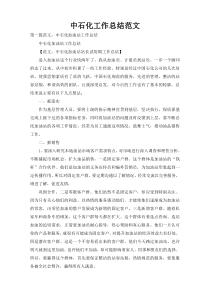 中石化工作总结范文