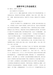 挂职半年工作总结范文