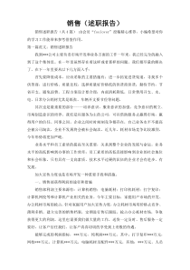 销售（述职报告）18