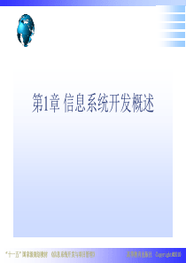 信息系统项目管理第1章