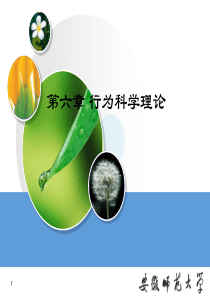 行为科学理论PPT课件