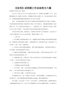 【实用】试用期工作总结范文六篇