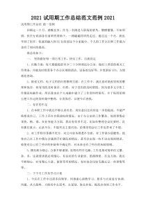 2021试用期工作总结范文范例2021