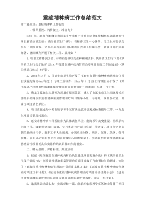重症精神病工作总结范文