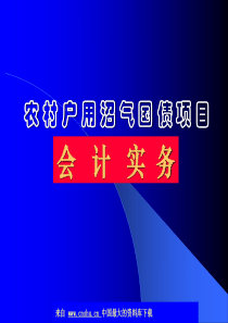 农村户用沼气国债项目-会计实务(ppt 51)