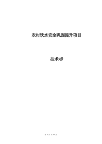农村饮水安全巩固提升项目（DOC57页）