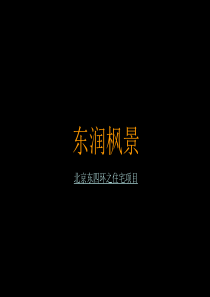 北京东润枫景项目提案