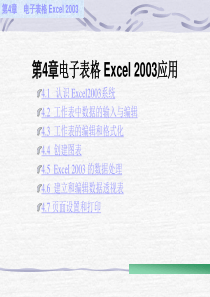 电子表格Excel应用教程课件