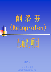 北大方正集团-酮洛芬巴布剂项目(1)