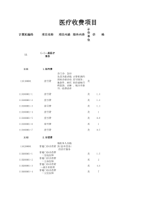 医疗收费项目