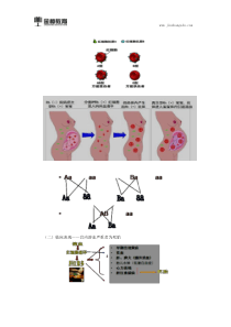 2018临床执业医师综合知识点(两百八十)