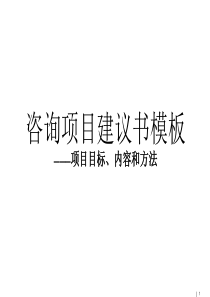 咨询项目建议书模板