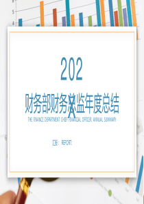 财务部财务总监年度工作总结PPT模板