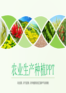 扁平化绿色健康饮食农业生产种植PPT模板