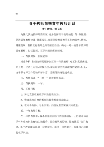 骨干教师帮扶计划