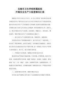 开展安全生产大检查情况汇报