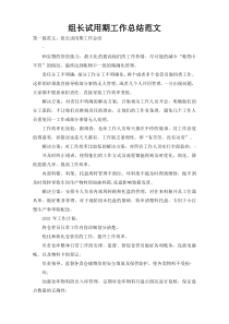 组长试用期工作总结范文