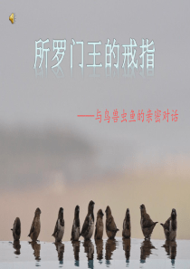 所罗门的戒指。
