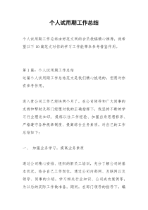2021年个人试用期工作总结