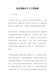 2021年各公司会计个人工作总结