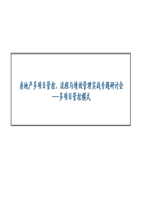 多项目管控下的绩效管理实战(PDF166页)