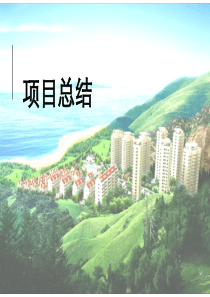 大型海岸项目结案总结详细版