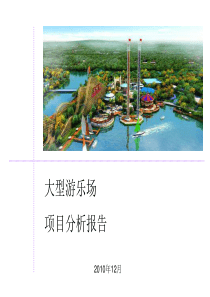 大型游乐场项目分析报告