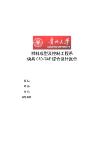 贵州大学机械工程学院材料成型班毕设设计之前的一次综合设计报告