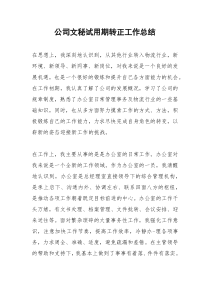 2021年公司文秘试用期转正工作总结