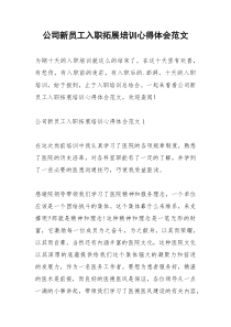 2021年公司新员工入职拓展培训心得体会范文
