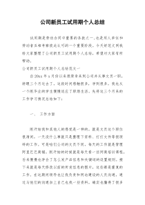 2021年公司新员工试用期个人总结