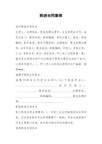 2021年购房合同集锦