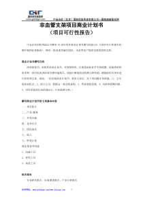 非血管支架项目商业计划书